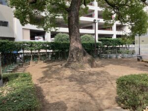 故きを温ねる公園