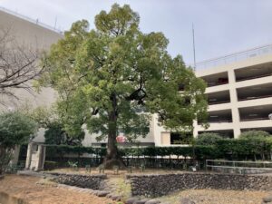 故きを温ねる公園
