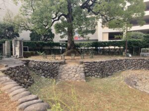 故きを温ねる公園